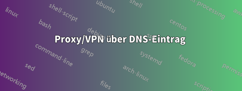 Proxy/VPN über DNS-Eintrag