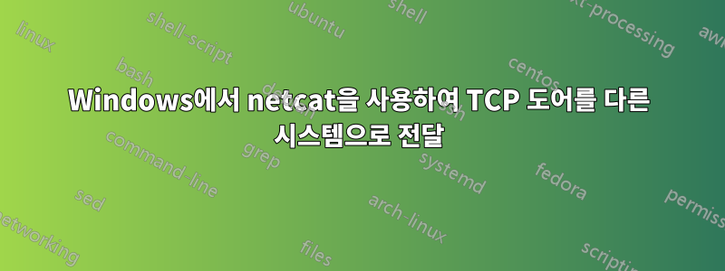 Windows에서 netcat을 사용하여 TCP 도어를 다른 시스템으로 전달