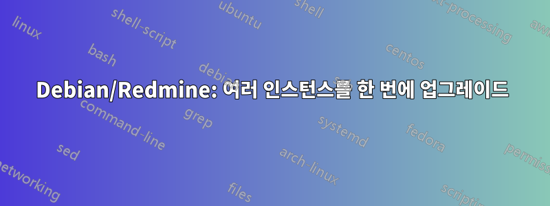 Debian/Redmine: 여러 인스턴스를 한 번에 업그레이드