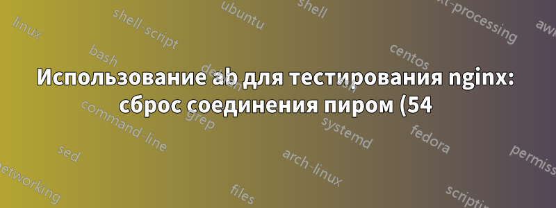 Использование ab для тестирования nginx: сброс соединения пиром (54)