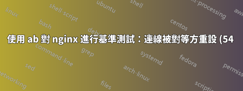 使用 ab 對 nginx 進行基準測試:連線被對等方重設 (54)