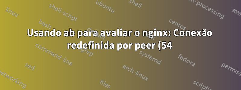 Usando ab para avaliar o nginx: Conexão redefinida por peer (54)