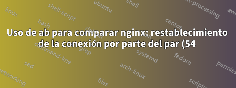 Uso de ab para comparar nginx: restablecimiento de la conexión por parte del par (54)