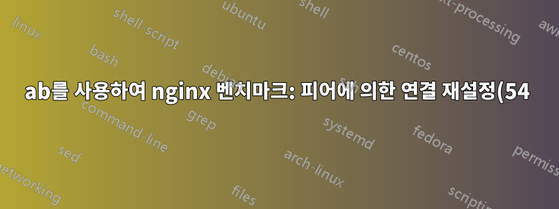 ab를 사용하여 nginx 벤치마크: 피어에 의한 연결 재설정(54)