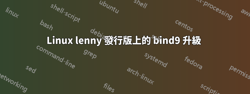 Linux lenny 發行版上的 bind9 升級