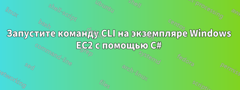 Запустите команду CLI на экземпляре Windows EC2 с помощью C#