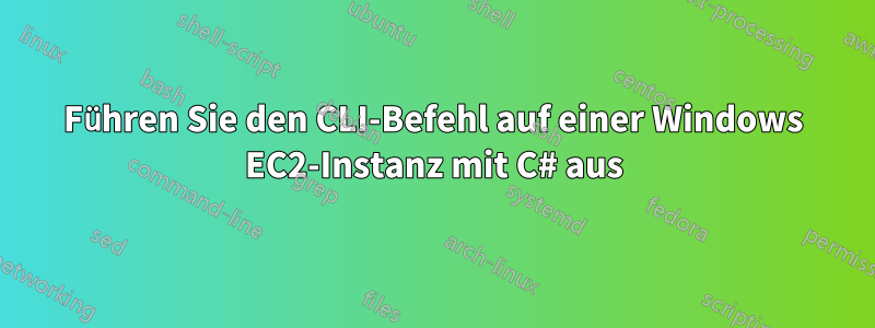 Führen Sie den CLI-Befehl auf einer Windows EC2-Instanz mit C# aus