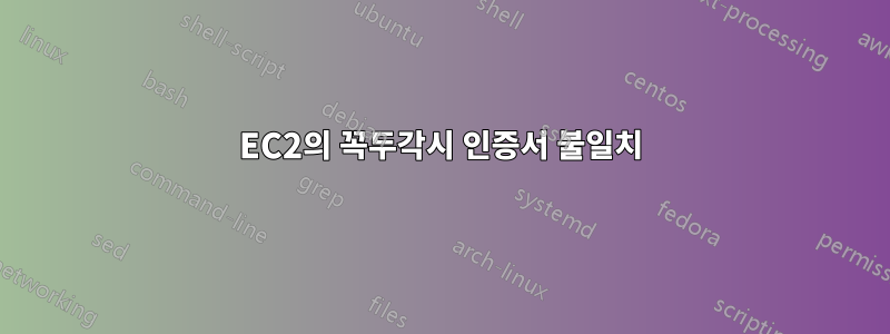 EC2의 꼭두각시 인증서 불일치