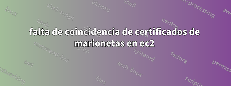 falta de coincidencia de certificados de marionetas en ec2