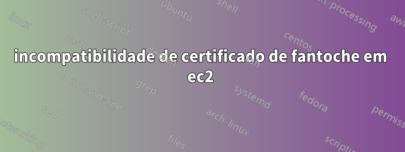 incompatibilidade de certificado de fantoche em ec2