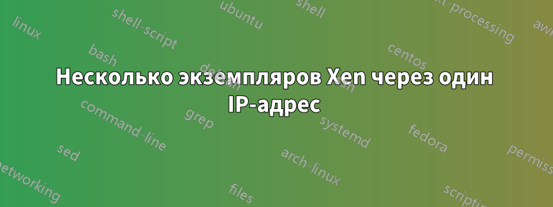 Несколько экземпляров Xen через один IP-адрес