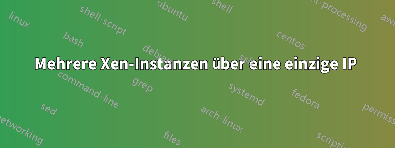 Mehrere Xen-Instanzen über eine einzige IP