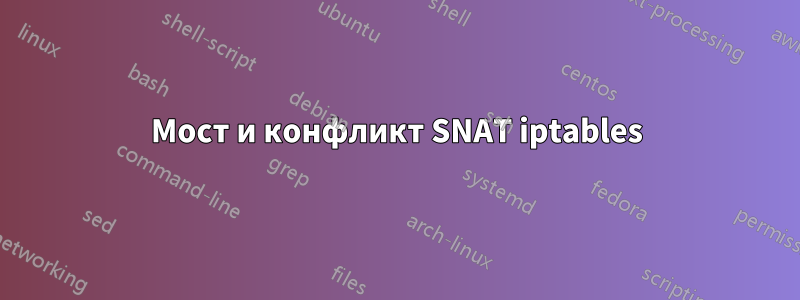 Мост и конфликт SNAT iptables