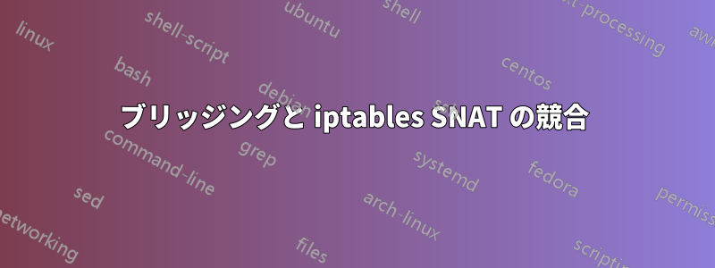 ブリッジングと iptables SNAT の競合