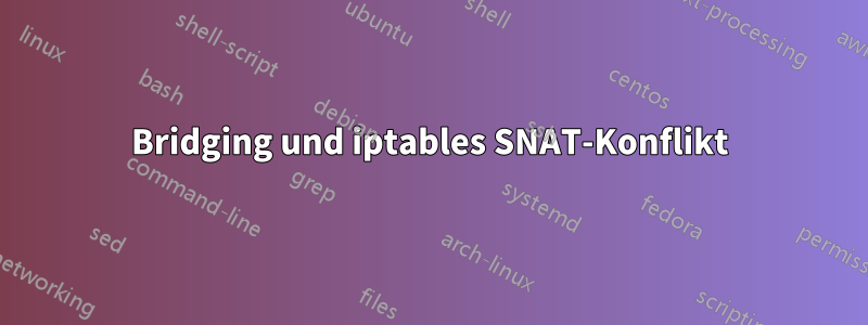 Bridging und iptables SNAT-Konflikt