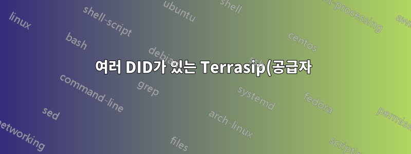 여러 DID가 있는 Terrasip(공급자)용 Elastix용 Sip 구성
