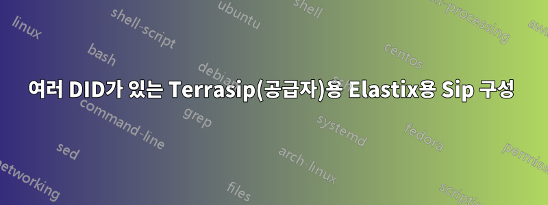 여러 DID가 있는 Terrasip(공급자)용 Elastix용 Sip 구성