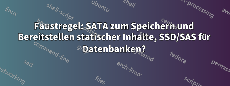 Faustregel: SATA zum Speichern und Bereitstellen statischer Inhalte, SSD/SAS für Datenbanken?