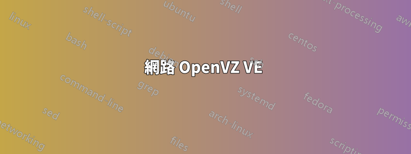 網路 OpenVZ VE