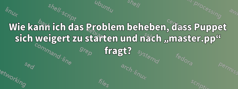 Wie kann ich das Problem beheben, dass Puppet sich weigert zu starten und nach „master.pp“ fragt?