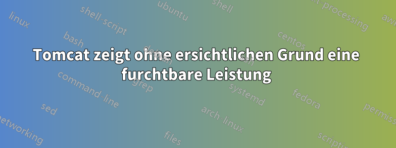 Tomcat zeigt ohne ersichtlichen Grund eine furchtbare Leistung