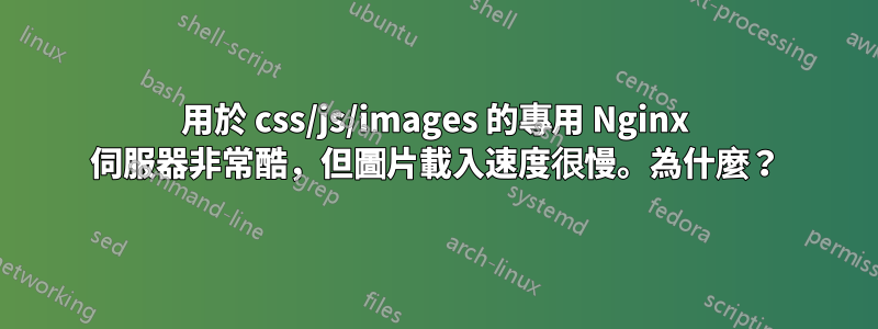 用於 css/js/images 的專用 Nginx 伺服器非常酷，但圖片載入速度很慢。為什麼？