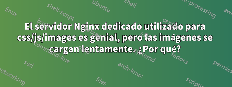 El servidor Nginx dedicado utilizado para css/js/images es genial, pero las imágenes se cargan lentamente. ¿Por qué?