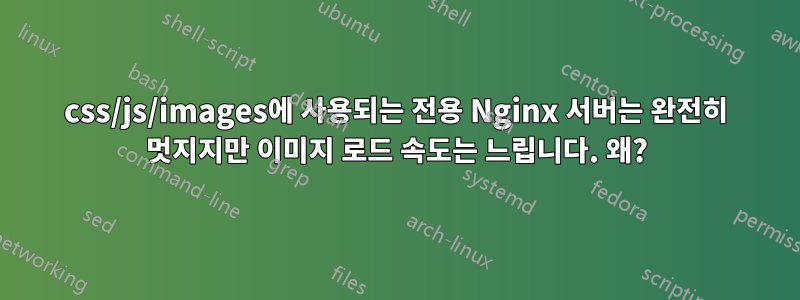 css/js/images에 사용되는 전용 Nginx 서버는 완전히 멋지지만 이미지 로드 속도는 느립니다. 왜?