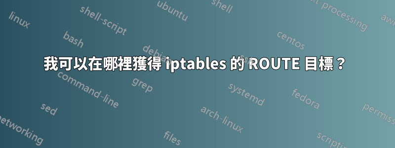 我可以在哪裡獲得 iptables 的 ROUTE 目標？