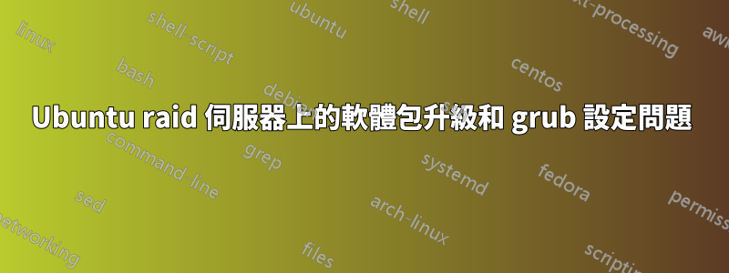 Ubuntu raid 伺服器上的軟體包升級和 grub 設定問題