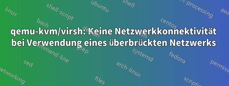 qemu-kvm/virsh: Keine Netzwerkkonnektivität bei Verwendung eines überbrückten Netzwerks