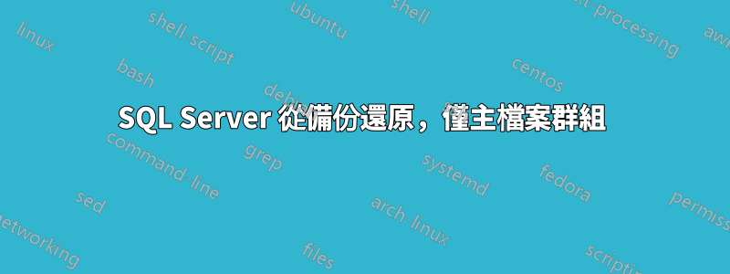 SQL Server 從備份還原，僅主檔案群組