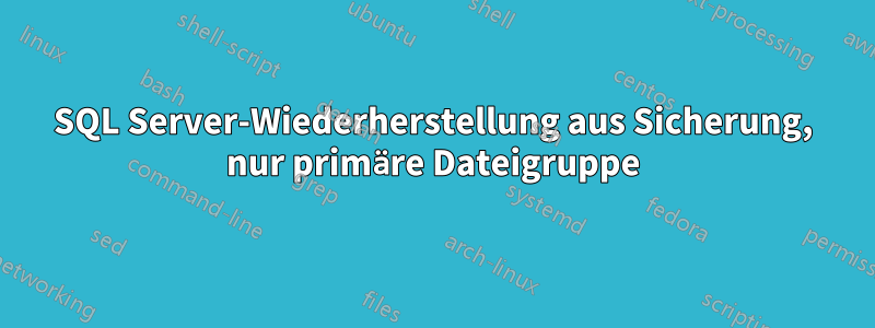 SQL Server-Wiederherstellung aus Sicherung, nur primäre Dateigruppe