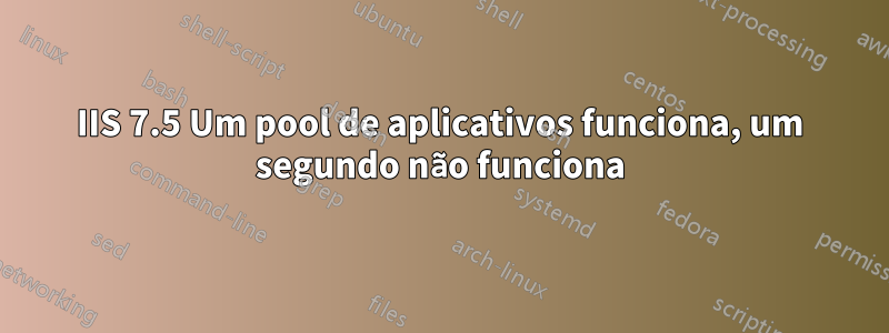 IIS 7.5 Um pool de aplicativos funciona, um segundo não funciona