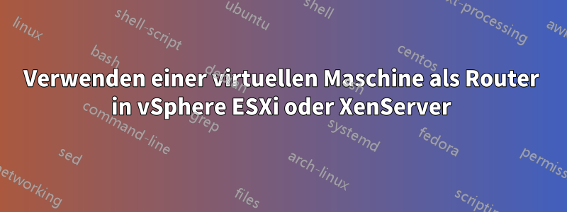 Verwenden einer virtuellen Maschine als Router in vSphere ESXi oder XenServer