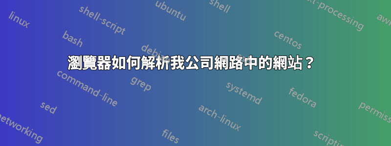 瀏覽器如何解析我公司網路中的網站？ 