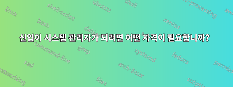 신입이 시스템 관리자가 되려면 어떤 자격이 필요합니까? 