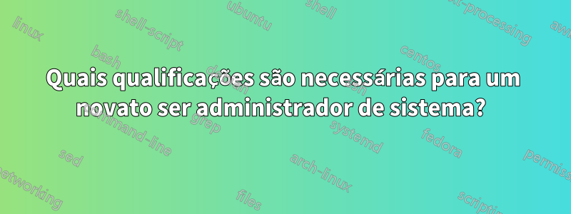 Quais qualificações são necessárias para um novato ser administrador de sistema? 