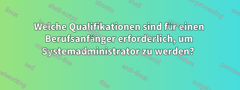 Welche Qualifikationen sind für einen Berufsanfänger erforderlich, um Systemadministrator zu werden? 