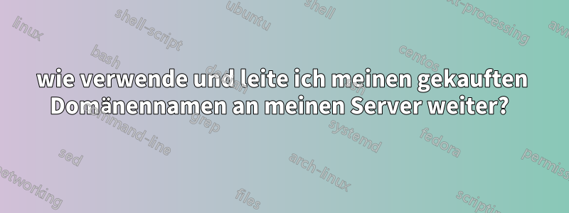 wie verwende und leite ich meinen gekauften Domänennamen an meinen Server weiter? 