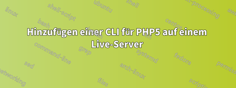 Hinzufügen einer CLI für PHP5 auf einem Live-Server