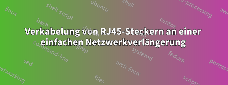 Verkabelung von RJ45-Steckern an einer einfachen Netzwerkverlängerung