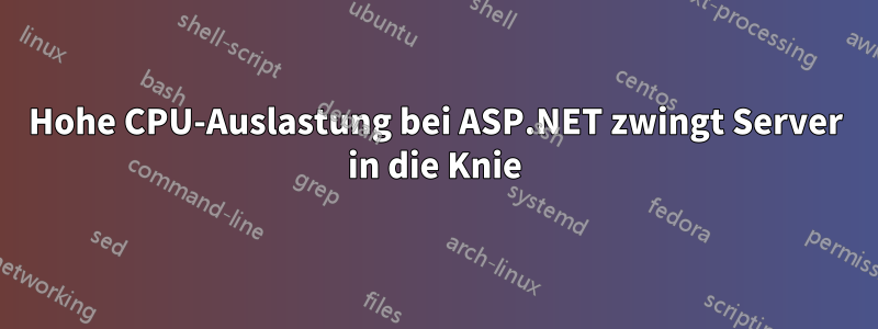 Hohe CPU-Auslastung bei ASP.NET zwingt Server in die Knie