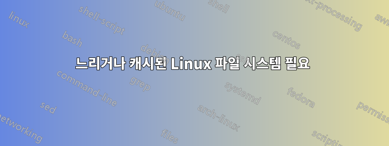 느리거나 캐시된 Linux 파일 시스템 필요