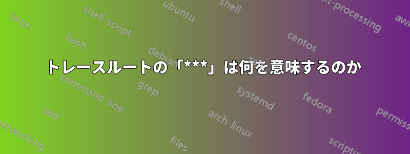 トレースルートの「***」は何を意味するのか