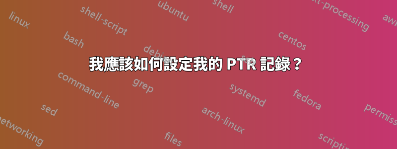 我應該如何設定我的 PTR 記錄？