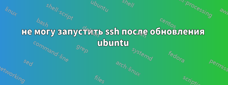 не могу запустить ssh после обновления ubuntu