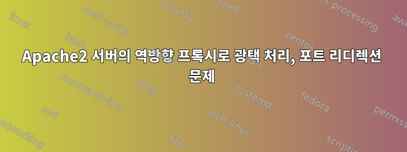 Apache2 서버의 역방향 프록시로 광택 처리, 포트 리디렉션 문제