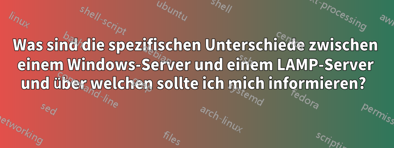 Was sind die spezifischen Unterschiede zwischen einem Windows-Server und einem LAMP-Server und über welchen sollte ich mich informieren? 