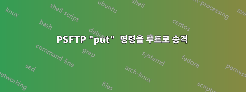 PSFTP "put" 명령을 루트로 승격